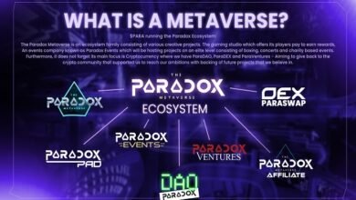 iParadox Crypto