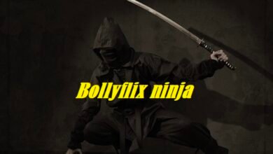 bollyflix ninja