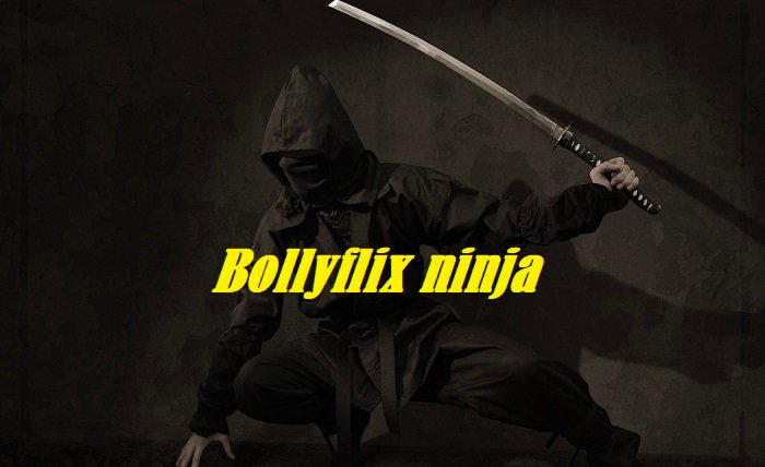 bollyflix ninja